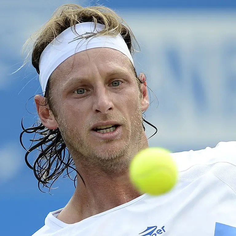 David Nalbandian