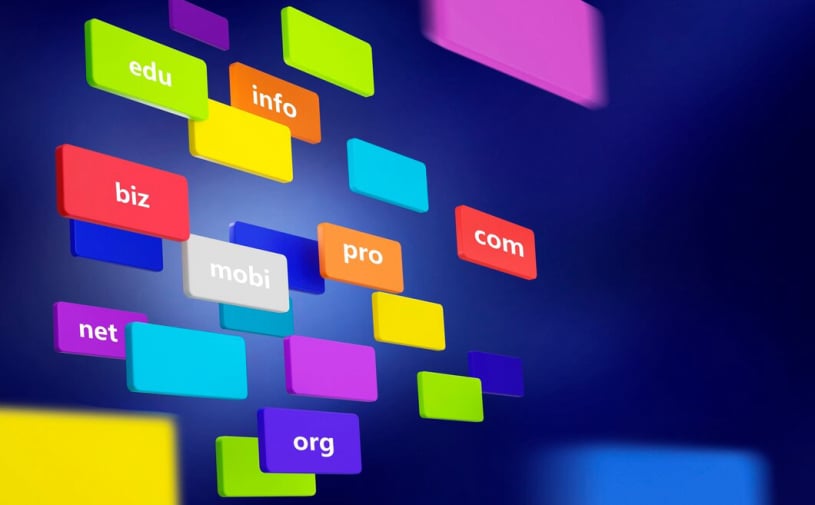 Web Hosting & Domain Names