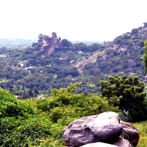 	Collines	