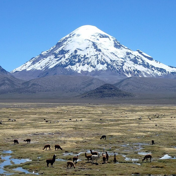 	Oruro	