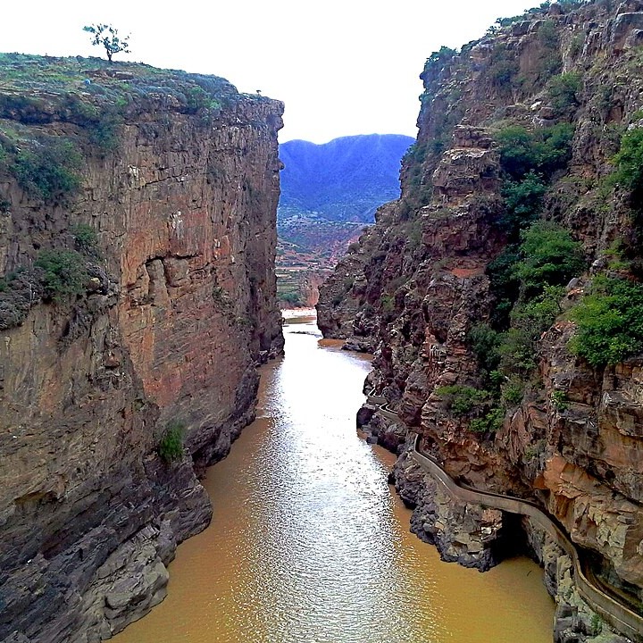 	Tarija	