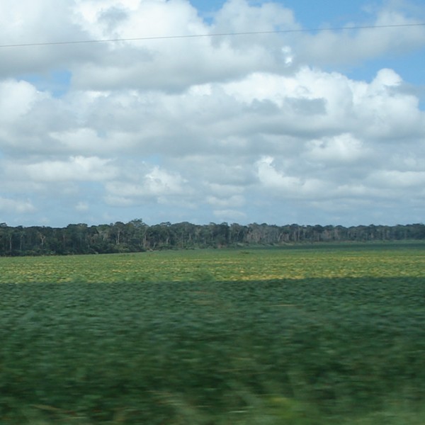 	Rondônia	