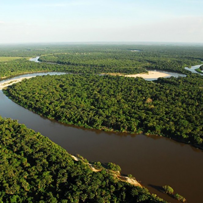 	Roraima	