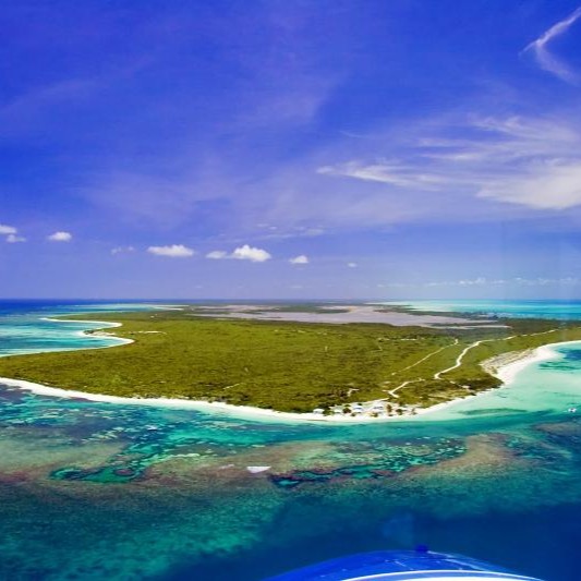 	Anegada	