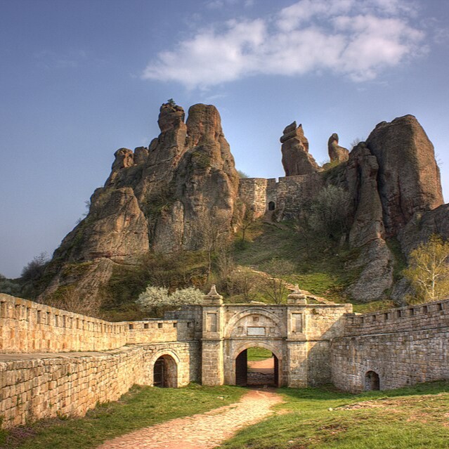 	Vidin	