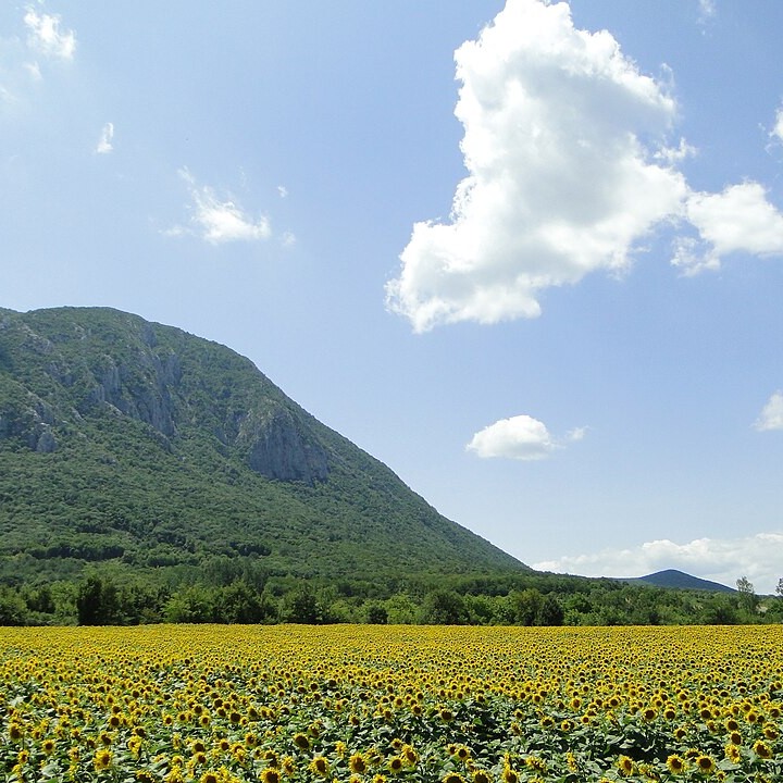 	Vratsa	