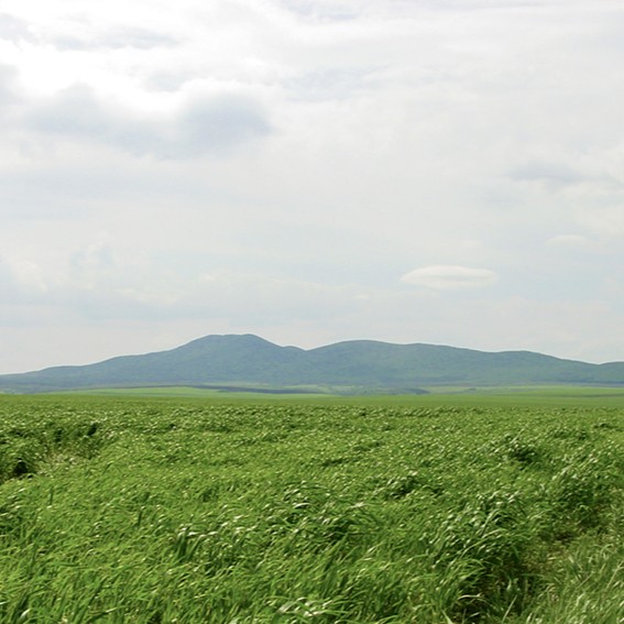 	Yambol	