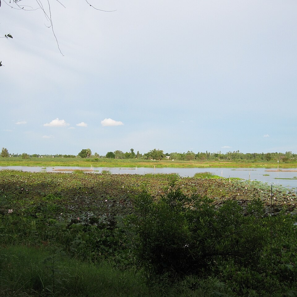 	Kandal	
