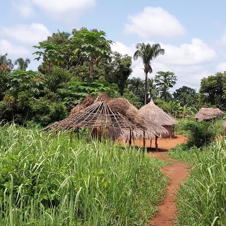 	Haut-Mbomou	