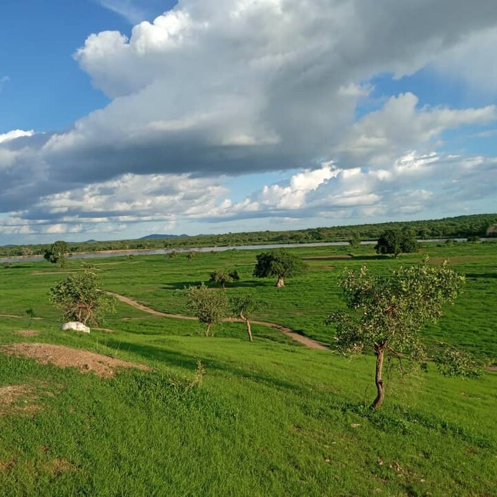	Sila	