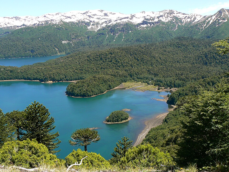 	Araucanía	