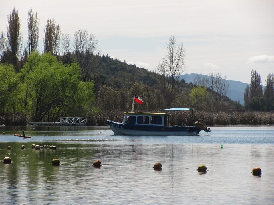 	Ñuble	