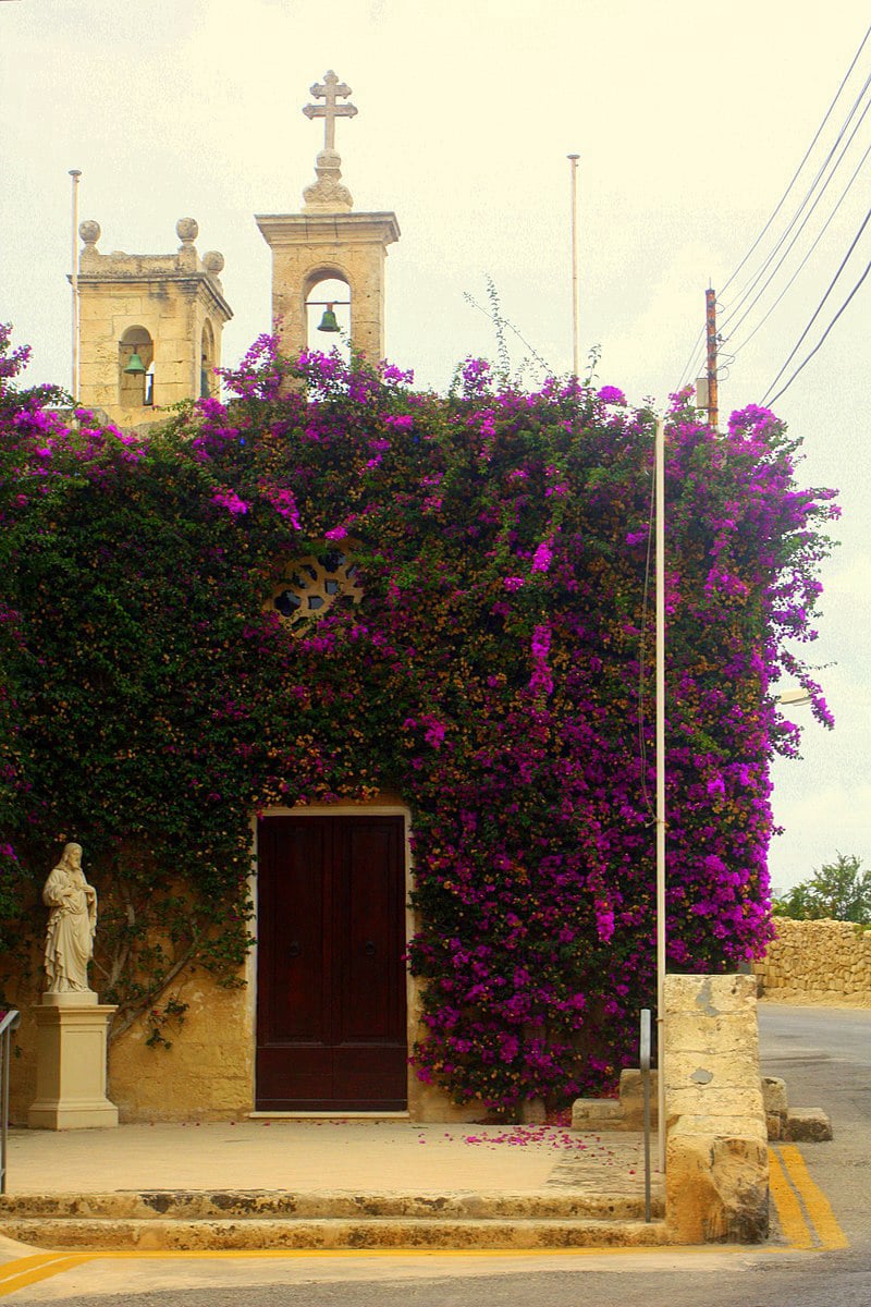  Ħal Lija, Church, Immaculate Conception, Roman Catholic