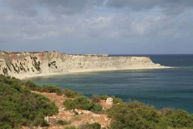 Xrobb l-Għaġin