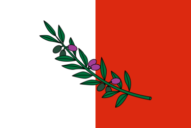 	Rabat Local Council	