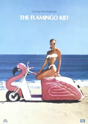 The Flamingo Kid 1984