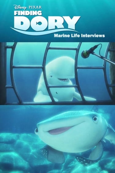 	Marine Life Interviews	