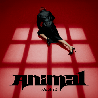 	Animal	