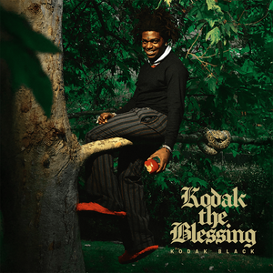 	Kodak The Blessing	