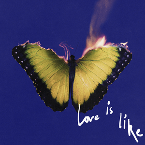 	Love Is Like	