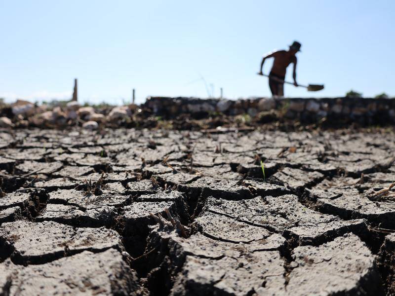	El Niño developing in the Pacific could become the strongest in living memory	