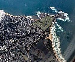 	Shark attack kills Australian surfer off Long Reef Beach, Sydney	